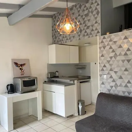 Jolie Chartreuse Avec Jardin Prive * Toulouse