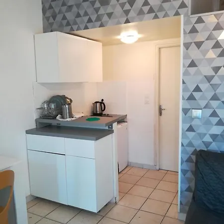 Apartament Jolie Chartreuse Avec Jardin Prive Tuluza
