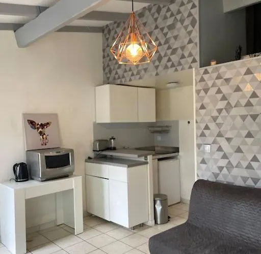 Jolie Chartreuse Avec Jardin Prive * تولوز