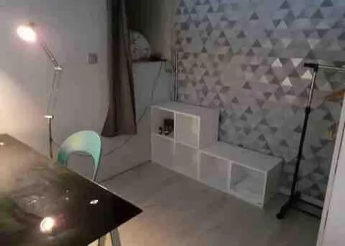 شقة Jolie Chartreuse Avec Jardin Prive تولوز