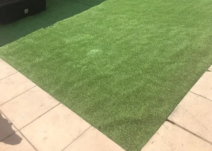 شقة Jolie Chartreuse Avec Jardin Prive تولوز