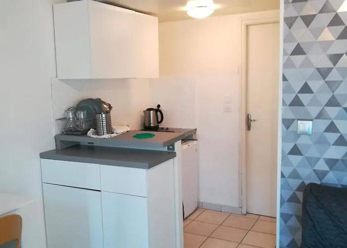 شقة Jolie Chartreuse Avec Jardin Prive تولوز