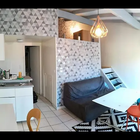 Апартаменты Jolie Chartreuse Avec Jardin Prive